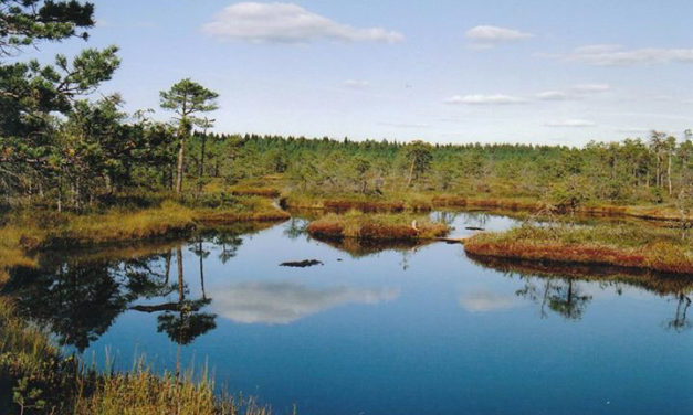 10 destinations pour découvrir la nature estonienne
