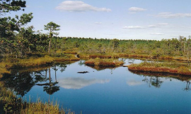 Lacs, rivières et tourbières