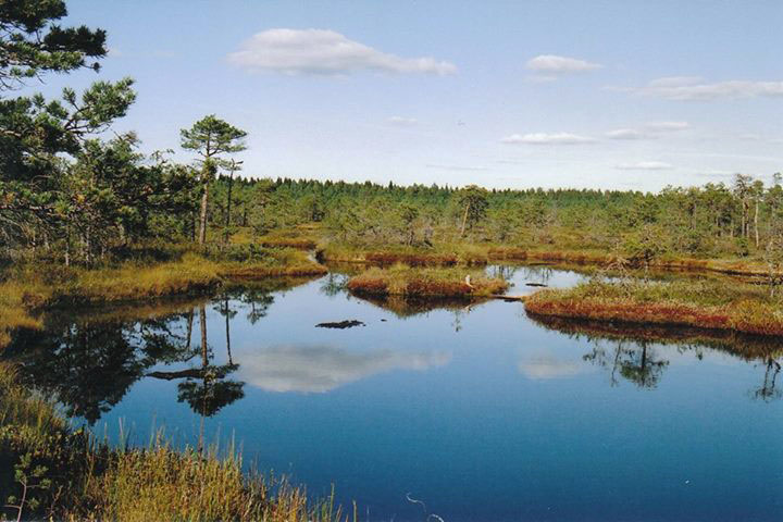 10 destinations pour découvrir la nature estonienne