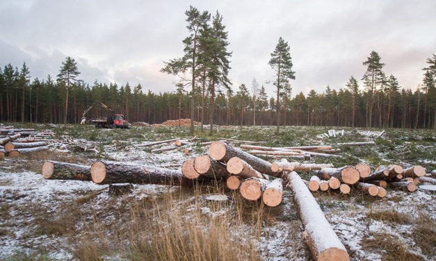 Actualités estoniennes 16-31 mars 2017