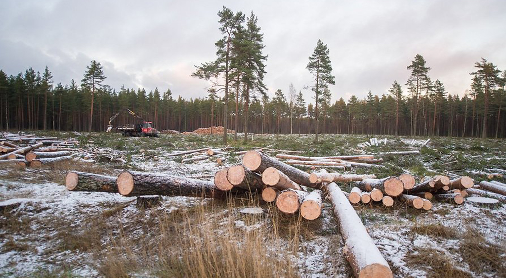 Actualités estoniennes 16-31 mars 2017