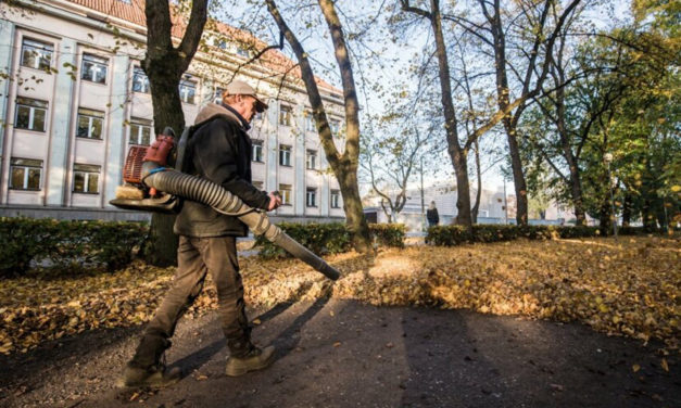 Actualités estoniennes 1er – 31 octobre 2019